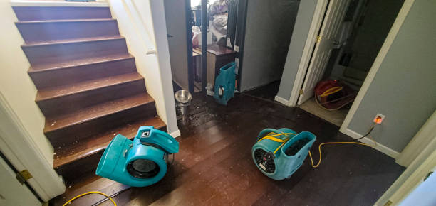 Best Carpet water damage restoration  in Audubon Park, NJ