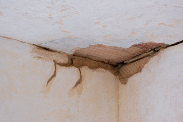 Best Water damage cleanup near me  in Audubon Park, NJ