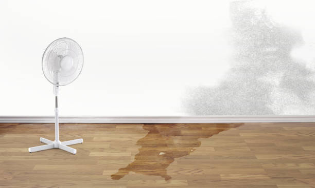 Best Water damage contractors near me  in Audubon Park, NJ