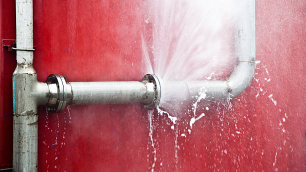 Water damage restoration mold remediation in NJ