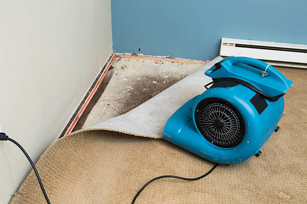 Best Sewage cleanup and water damage restoration  in Audubon Park, NJ